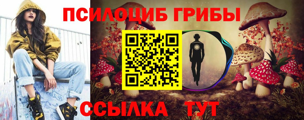Псилоцибиновые грибы мухоморы Кимовск