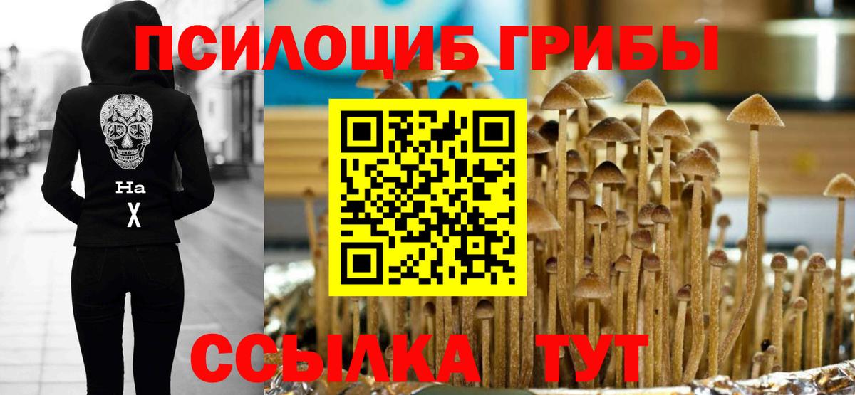 Кимовск  купить закладку  Вход с VPN  Галлюциногенные грибы прущие грибы 